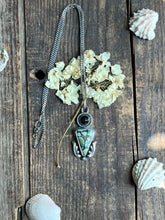 Load image into Gallery viewer, Polychrome Nautilus Variscite with Faceted Black Spinel Pendant, 17” Diamond Curb Chain