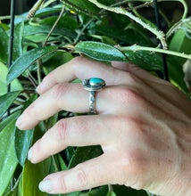 Load image into Gallery viewer, Kings Manassa Turquoise Katydid Ring, Size 9 1/2