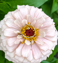 Load image into Gallery viewer, 14 Karat Yellow Gold Filled Squiggle Ring, Made to Order