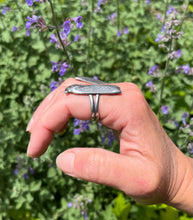 Load image into Gallery viewer, Cicada Ring, Hand Built Sterling Silver Ring, Available in Ring Size 7.5 and 10
