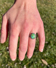 Load image into Gallery viewer, Emerald Valley Turquoise Ring with Hand Stamped Double Split Band, Ring Size 7
