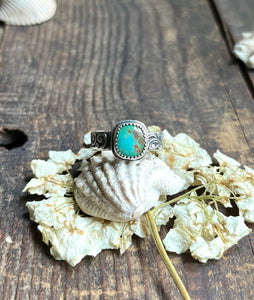 Aqua Blue Green Stone Mountain Turquoise Ring, Size 7