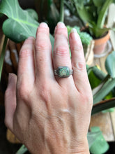 Load image into Gallery viewer, Damele Turquoise in Handcrafted Sterling Silver Ring with Scrollwork Style Band Size 7
