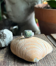 Load image into Gallery viewer, Damele Turquoise in Handcrafted Sterling Silver Ring with Scrollwork Style Band Size 7
